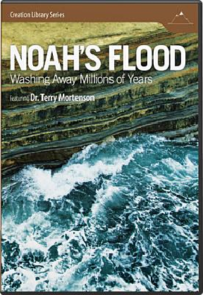 Noah’s Flood D-NF